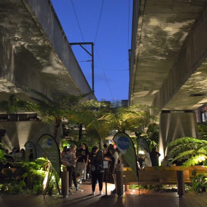 Fish Lane Opening