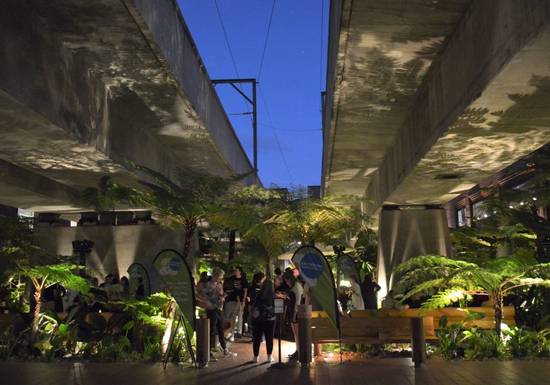 Fish Lane Opening