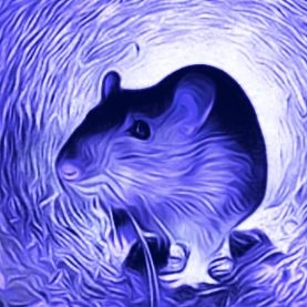 GOOD SEWER RATS Banner