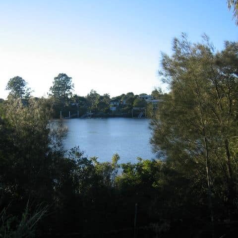 Early morning view of the Brisbane river from Hole 4